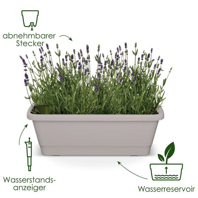 noa balkonkasten xl warmes grau